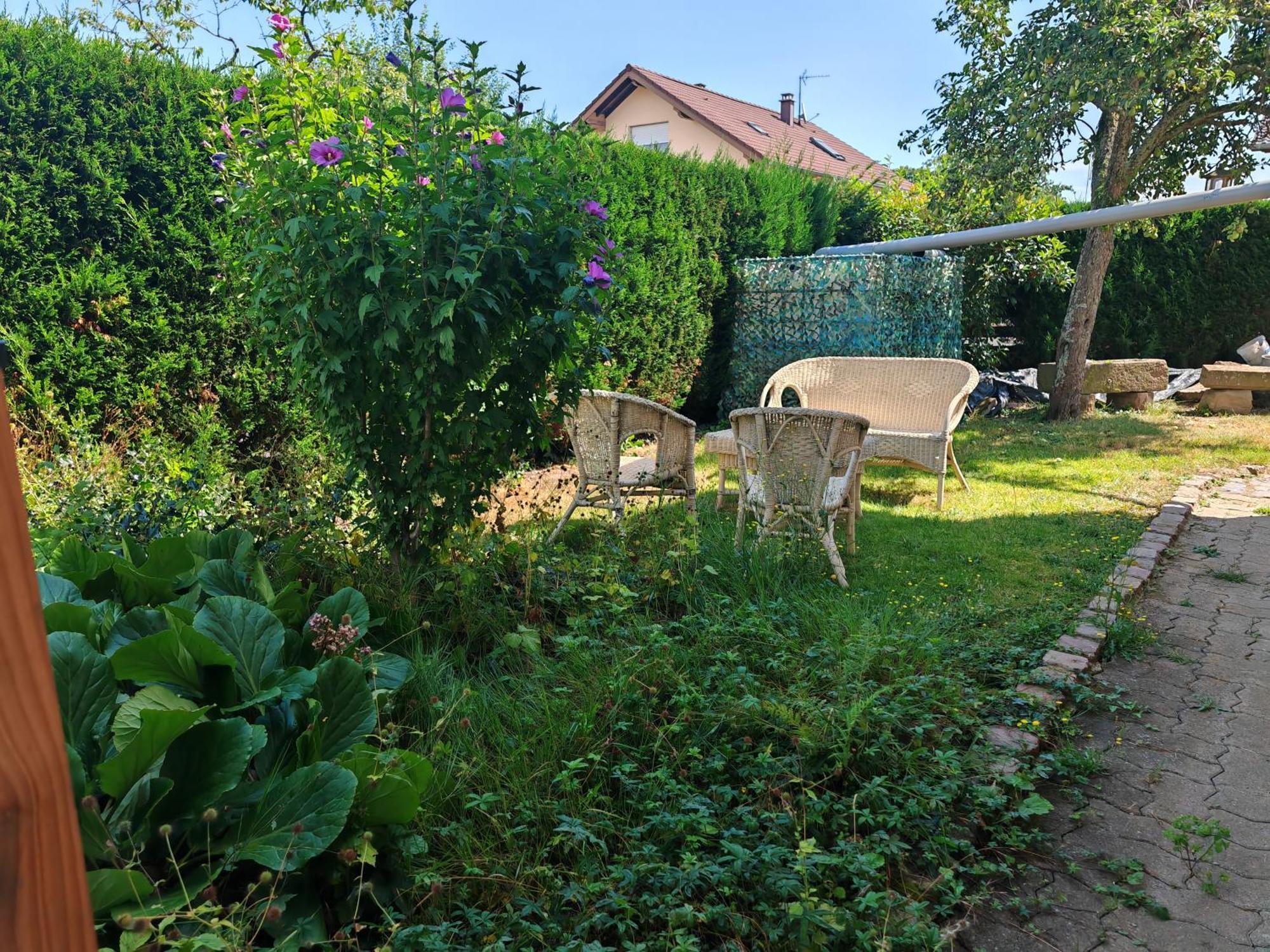 Appartement " Le Chardonneret " Issenheim Buitenkant foto